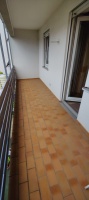 img20230812115843